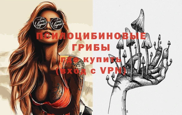 эйфоретик Осинники